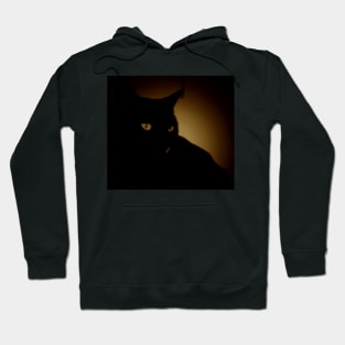 The Gold Cat Shadow Hoodie